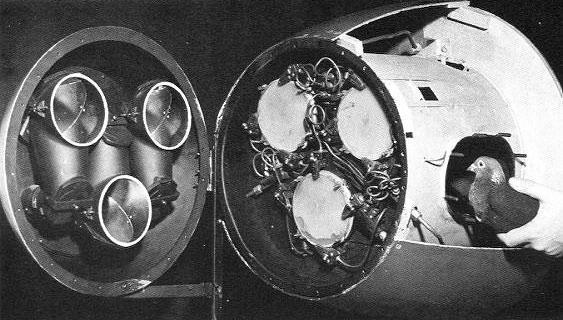 Pigeon Guided Missiles image 0